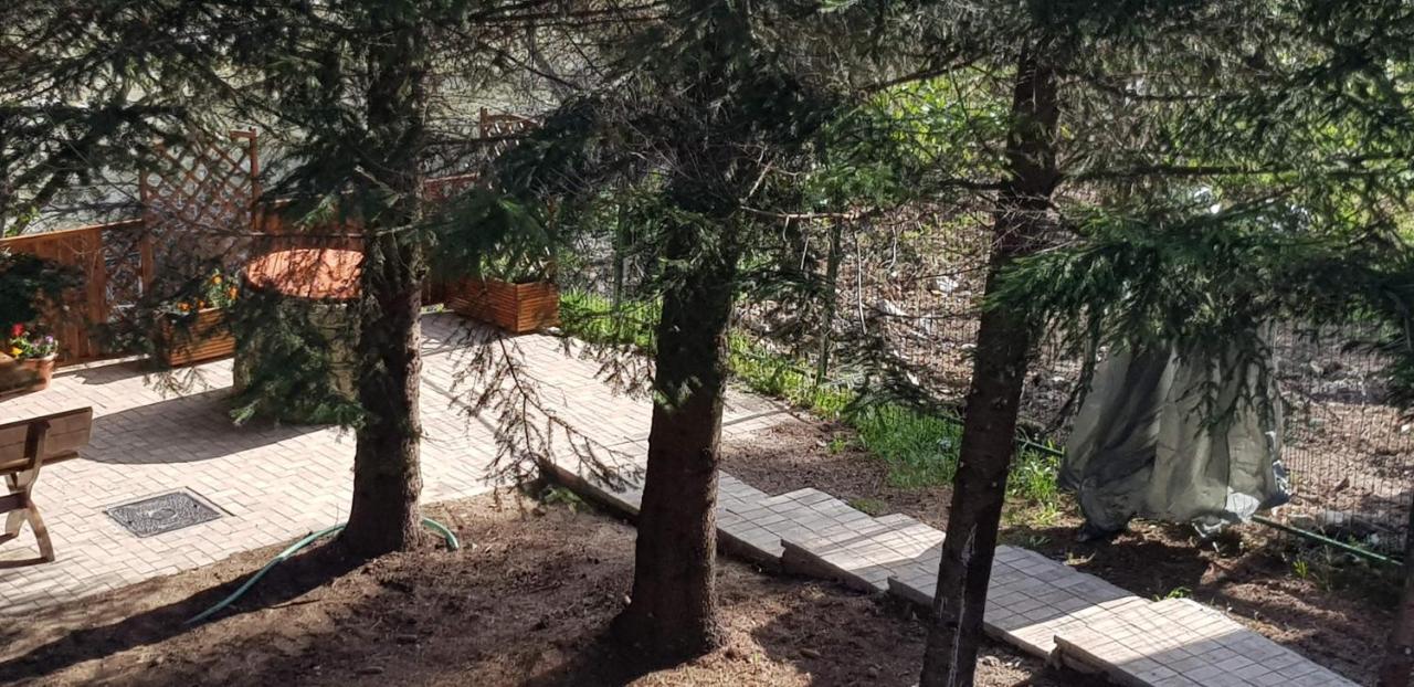 Sezatoarea Lupilor Βίλα Lepşa Εξωτερικό φωτογραφία