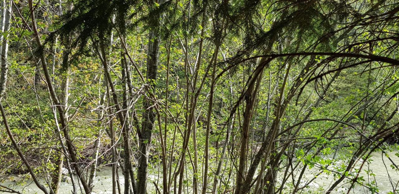 Sezatoarea Lupilor Βίλα Lepşa Εξωτερικό φωτογραφία
